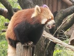 -宁波野生动物园