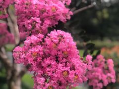 -杭州城北体育公园