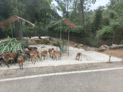 -乐和乐都主题乐园