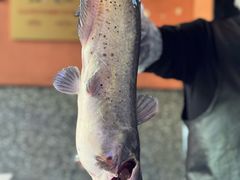 -鱼酷活鱼烤鱼(静安大融城店)