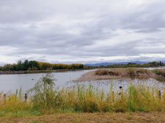 -野鸭湖国家湿地公园