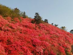 -木兰云雾山
