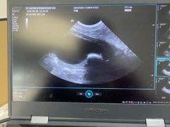-瑞派康怡24h宠物医院·犬猫医疗中心·微创绝育(瑞景分院)