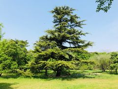 -国家植物园南园