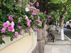 -青岛第三海水浴场