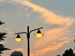 -Seesaw Coffee(上海国金中心店)