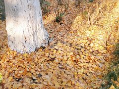 -苏州河梦清园环保主题公园