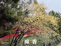-钱王祠