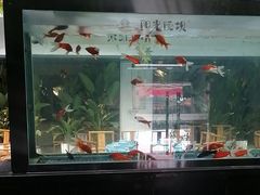 -阳光院坝小龙虾(红牌楼店)