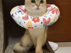 -荔康动物医院(康王北路店)