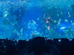 -哈尔滨波塞冬海底世界