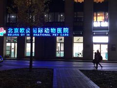 -欧奕国际动物医院