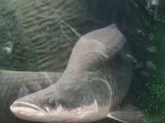 -青青世界