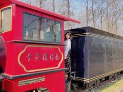 -合肥滨湖国家森林公园