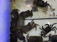 -集品鲜湾·蒸汽海鲜自助料理(青岛银座和谐广场店)