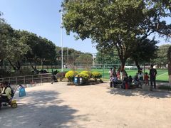 -天河儿童公园