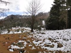 -硗碛藏寨·神木垒景区