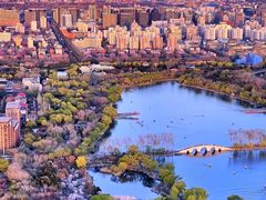 -中央广播电视塔