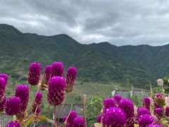 -篁岭景区