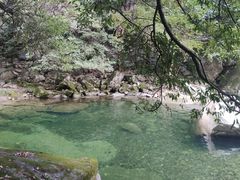 -大鄣山卧龙谷景区