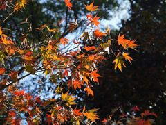 -敬亭山风景名胜区