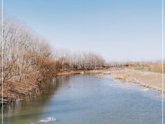 -东郊湿地公园