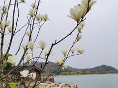 -南北湖风景区