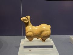 -温州博物馆