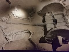 -洛阳周王城天子驾六博物馆