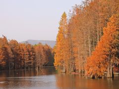 -尚湖风景区
