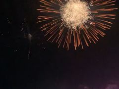 -南宁花花大世界景区