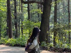 -波尔登森林公园