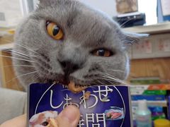 -袖虎宠物(锦绣生态园店)