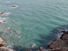 -广东惠东海龟国家级自然保护区