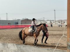 -北京群众马术培训基地