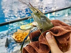 -SHRIMP CLUB万东餐饮钓虾·清吧