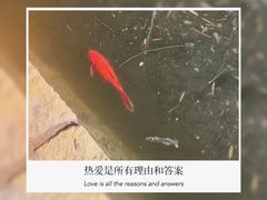 -团结湖公园