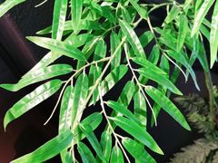 -湘邻呷铺·田园家宴(汉基广场店)