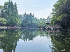 -棠湖公园