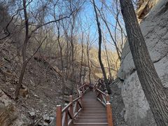 -大岭沟猕猴桃谷风景区