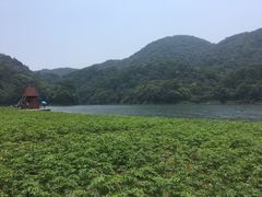 -广州市石门国家森林公园