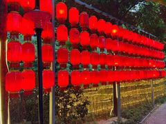 -二荆条·蜀鲜汇城市森林火锅