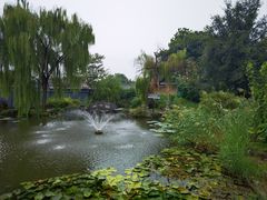 -青州古城