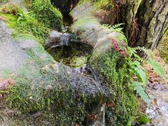 -腾冲云峰山