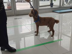 -北京恒爱动物医院(清景园分院)