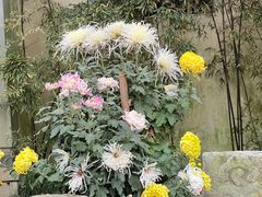 -惠山古镇·寄畅园