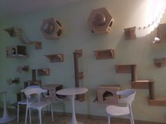 -青柠影咖·私人影院(龙泉店)