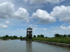 -盐城丹顶鹤湿地生态旅游区
