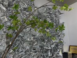 -茶发Salon·烫发染发理发