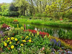 -上海共青森林公园